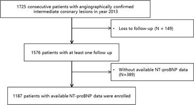 Prognostic value of N-terminal Pro–B-Type natriuretic peptide in patients with intermediate coronary lesions